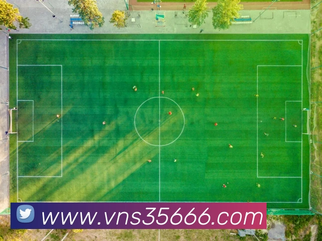 威尼斯人官网平台生态图